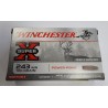 Balles WINCHESTER 243 Win Power-Point 100grs