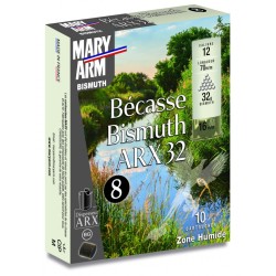 Cartouche MARY ARM BISMUTH...