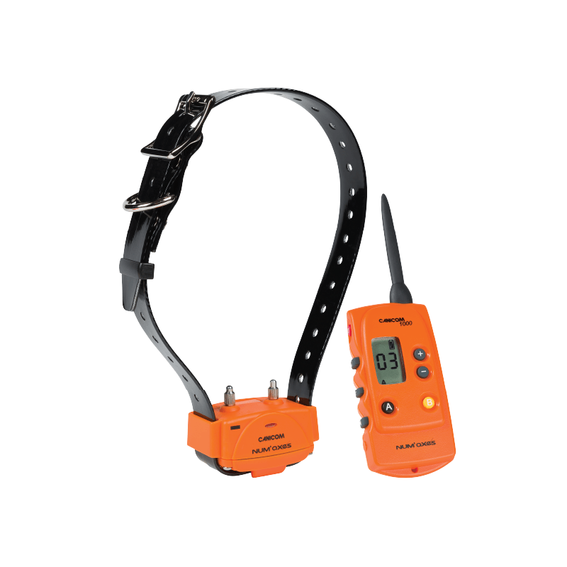 Ensemble de dressage CANICOM 1000