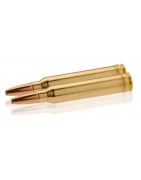 Munitions