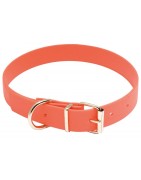 Accessoires pour chiens